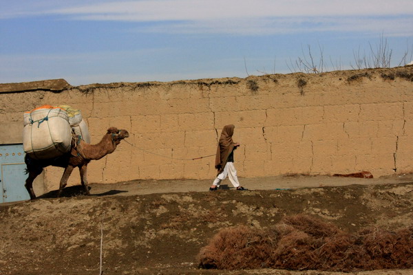 Afghan 3 Web 11.jpg