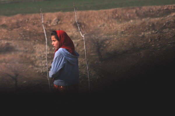 Afghan 3 Web 15.jpg