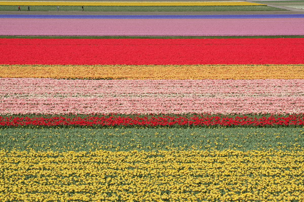 Amsterdam Web 01.jpg