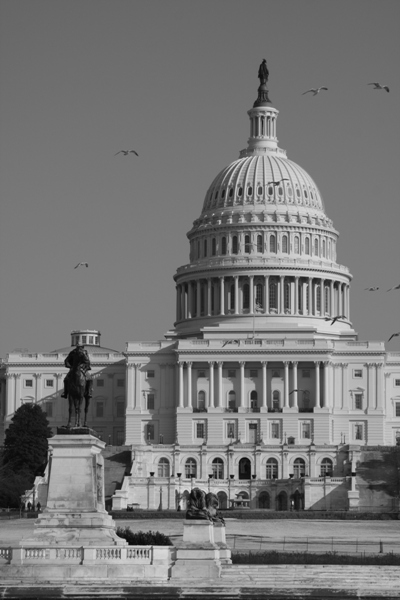 DC 2010 11.jpg