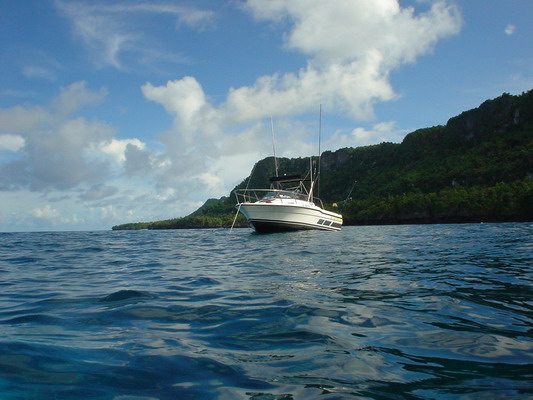 Double Reef Boat Trip 04.JPG