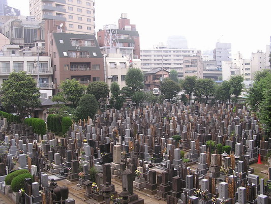 JapanWeb001.JPG