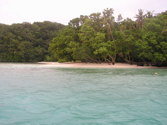 JimAnna Palau 04.JPG