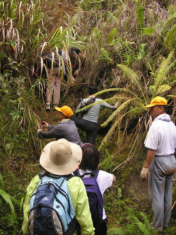 Lonfit Waterfall Web 03.jpg