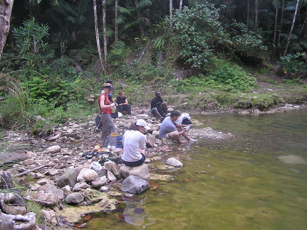 Lower Sigua Falls Web 10.jpg