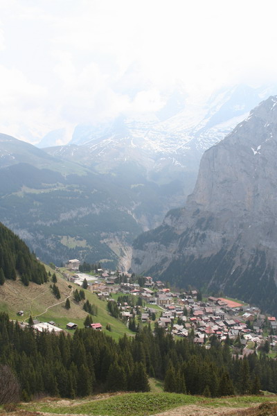 Swiss Web 30.jpg