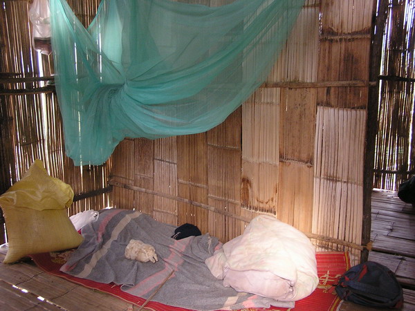 Thailand Web 055.JPG